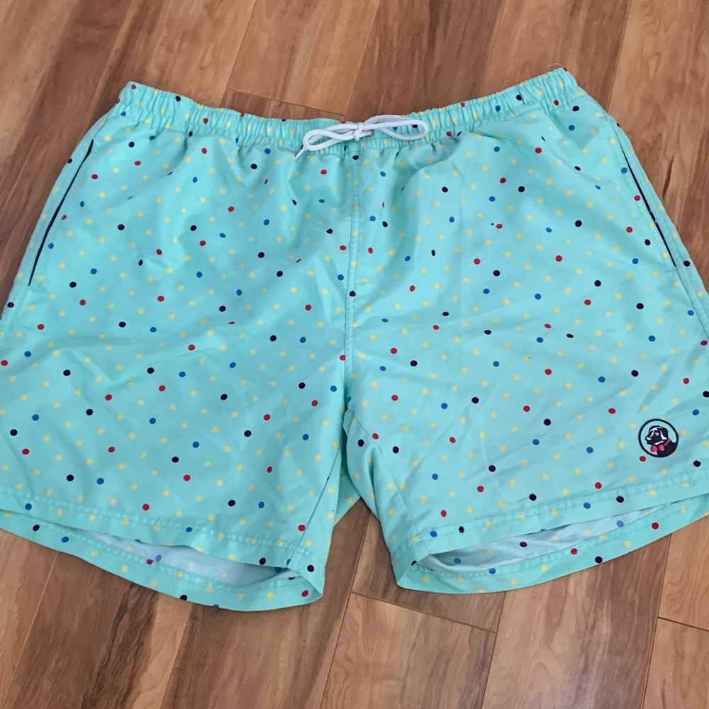 Southern Proper Swim Trunks